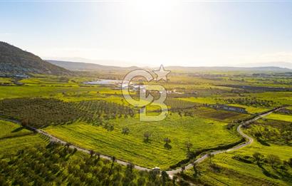 Foça Kocamehmetler'de Satılık Tarla