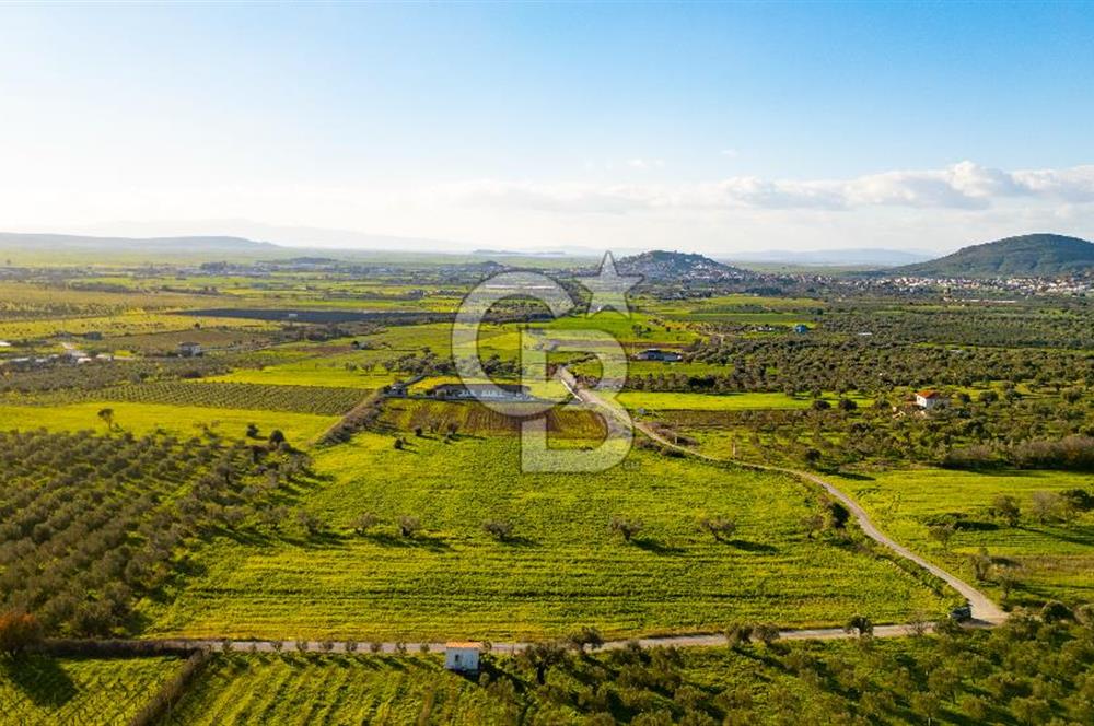 Foça Kocamehmetler'de Satılık Tarla