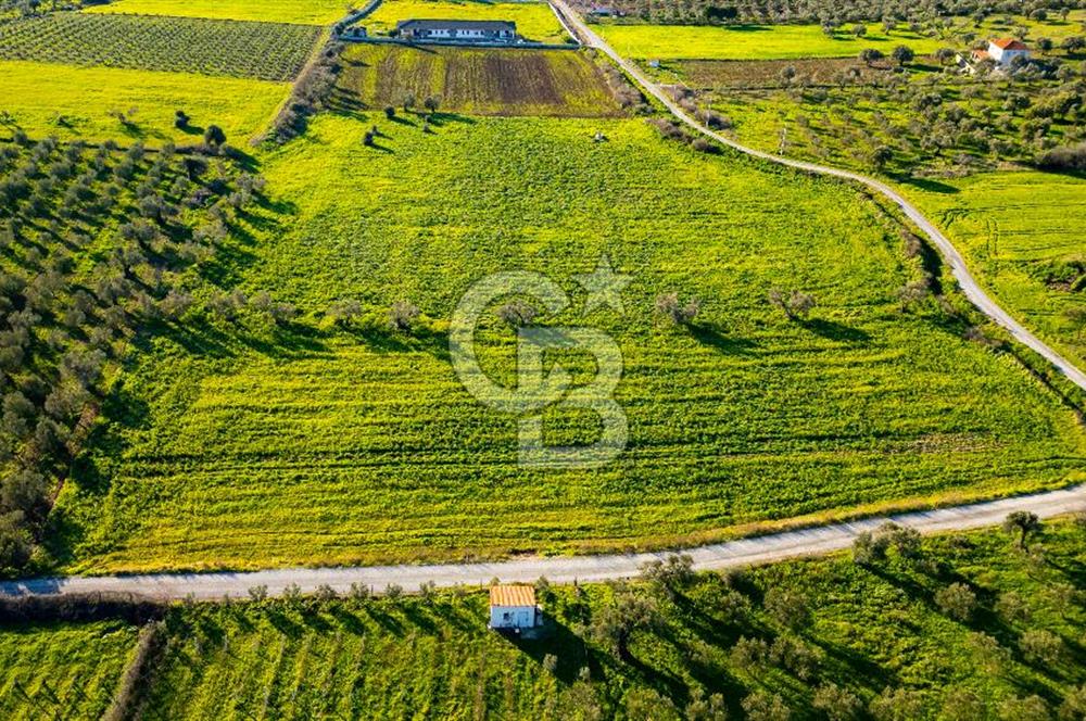 Foça Kocamehmetler'de Satılık Tarla