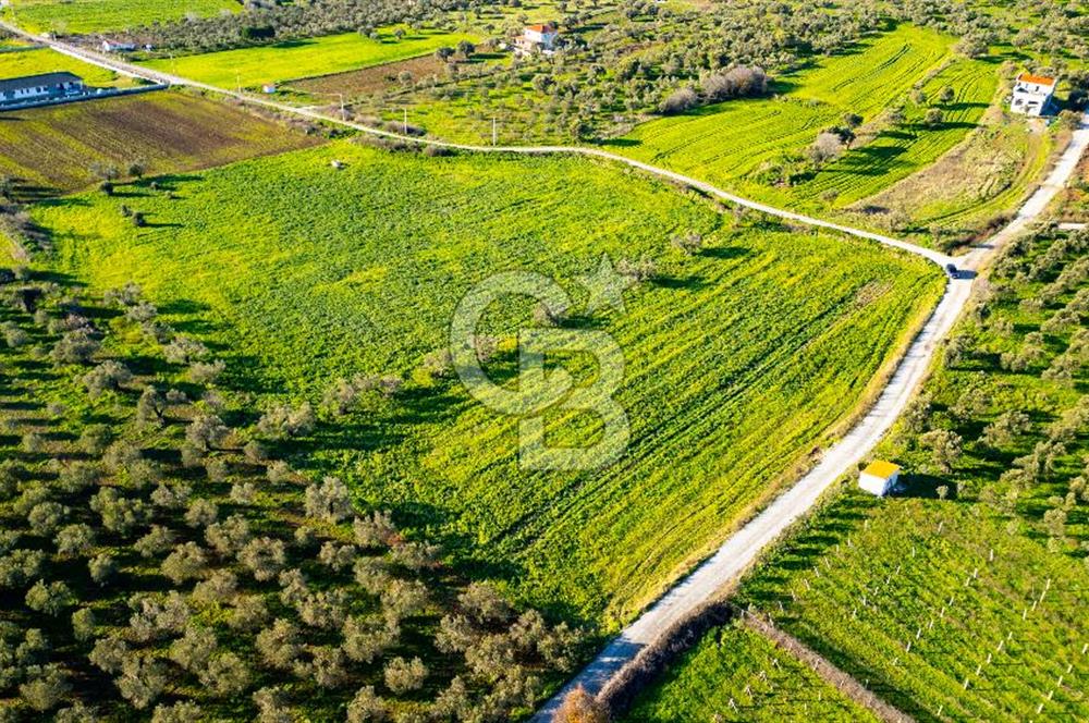 Foça Kocamehmetler'de Satılık Tarla