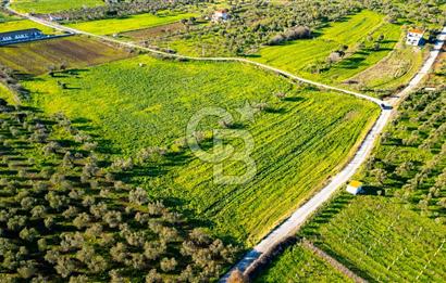 Foça Kocamehmetler'de Satılık Tarla