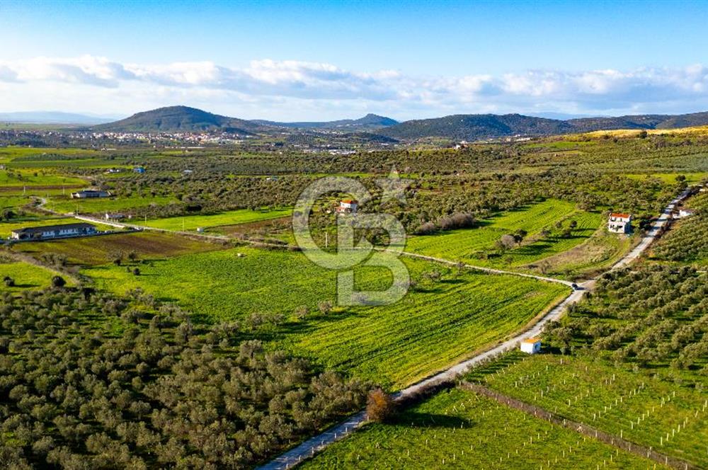 Foça Kocamehmetler'de Satılık Tarla