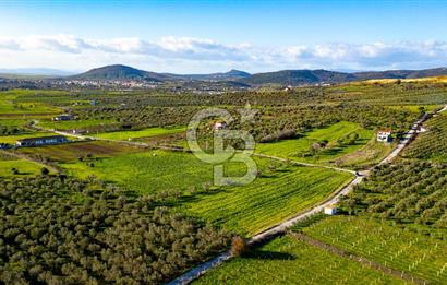 Foça Kocamehmetler'de Satılık Tarla