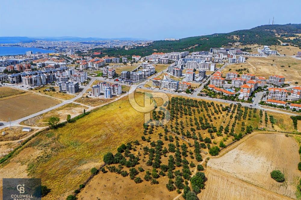 ÇANAKKALE KEPEZ'DE BÜYÜK METRAJLI, YATIRIM DEĞERİ YÜKSEK ARAZİ