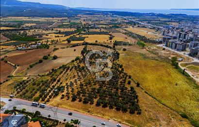 ÇANAKKALE KEPEZ'DE BÜYÜK METRAJLI, YATIRIM DEĞERİ YÜKSEK ARAZİ