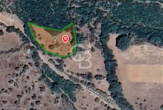 BALYA ÇALOVA KÖYİÇİ MEVKİİ SATILIK ARSA - 1 - 331074