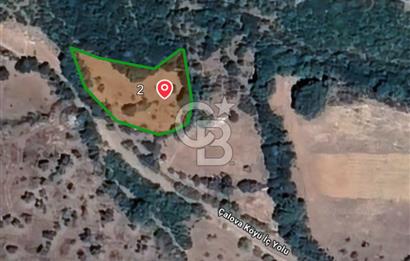 BALYA ÇALOVA KÖYİÇİ MEVKİİ SATILIK ARSA