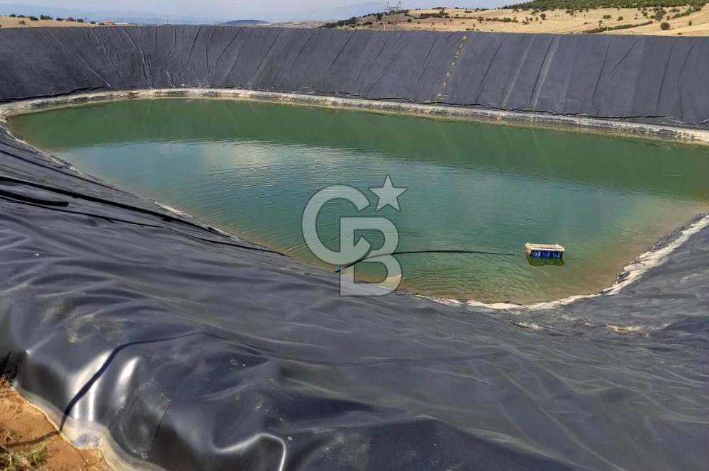 Manisa Kula Gökçeörende 165 Dönüm Yüksek Verimli Meyve Bahçesi