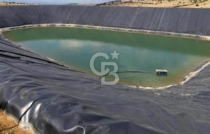 Manisa Kula Gökçeörende 165 Dönüm Yüksek Verimli Meyve Bahçesi