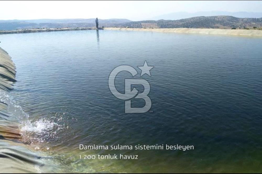 Manisa Kula Gökçeörende 165 Dönüm Yüksek Verimli Meyve Bahçesi