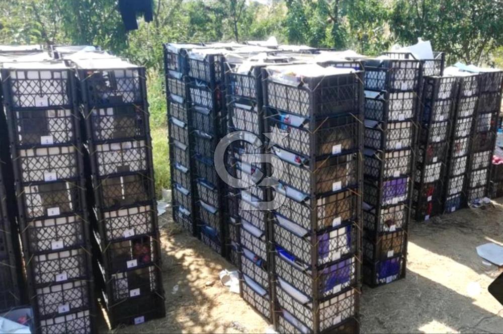 Manisa Kula Gökçeörende 165 Dönüm Yüksek Verimli Meyve Bahçesi