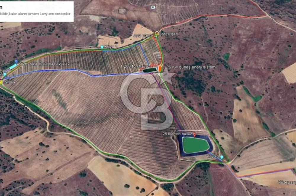 Manisa Kula Gökçeörende 165 Dönüm Yüksek Verimli Meyve Bahçesi