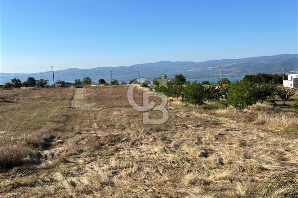 İZNİK DERBENT'TE GÖL MANZARALI YOLU OLAN SATILIK TARLA