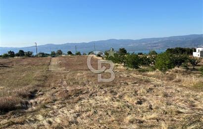 İZNİK DERBENT'TE GÖL MANZARALI YOLU OLAN SATILIK TARLA