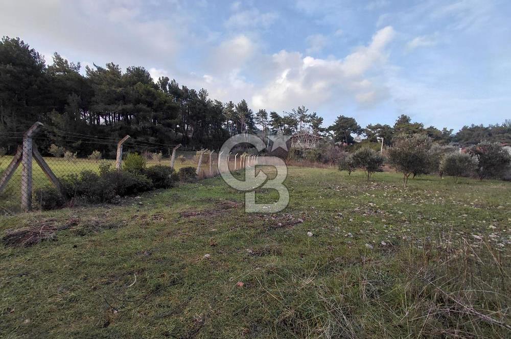 Yakaköy’de Yolu Olan, Toplu Ulaşıma Yakın, Orman Manzaralı Arazi
