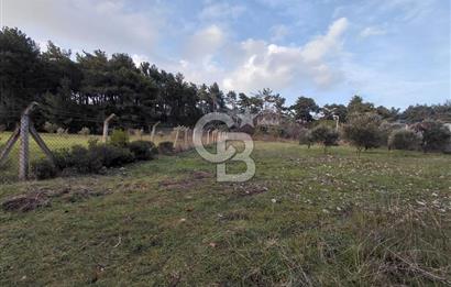 Yakaköy’de Yolu Olan, Toplu Ulaşıma Yakın, Orman Manzaralı Arazi