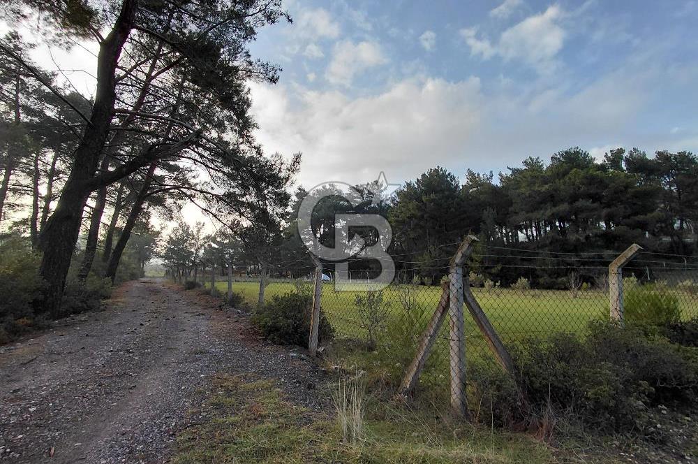 Yakaköy’de Yolu Olan, Toplu Ulaşıma Yakın, Orman Manzaralı Arazi
