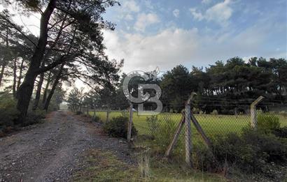 Yakaköy’de Yolu Olan, Toplu Ulaşıma Yakın, Orman Manzaralı Arazi