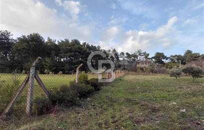 Yakaköy’de Yolu Olan, Toplu Ulaşıma Yakın, Orman Manzaralı Arazi