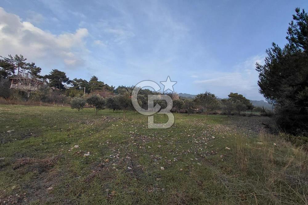 Yakaköy’de Yolu Olan, Toplu Ulaşıma Yakın, Orman Manzaralı Arazi