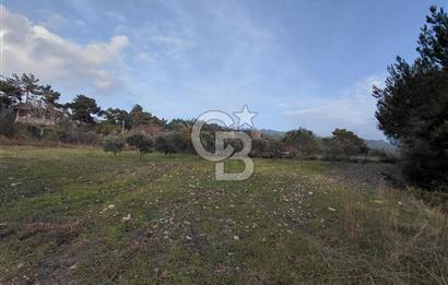 Yakaköy’de Yolu Olan, Toplu Ulaşıma Yakın, Orman Manzaralı Arazi