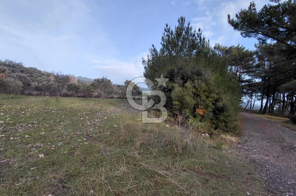 Yakaköy’de Yolu Olan, Toplu Ulaşıma Yakın, Orman Manzaralı Arazi