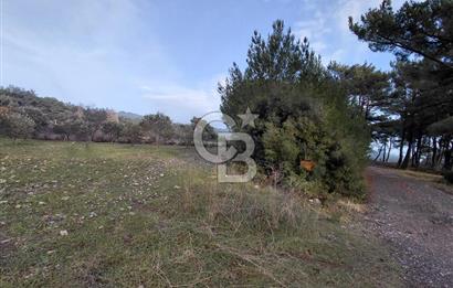 Yakaköy’de Yolu Olan, Toplu Ulaşıma Yakın, Orman Manzaralı Arazi