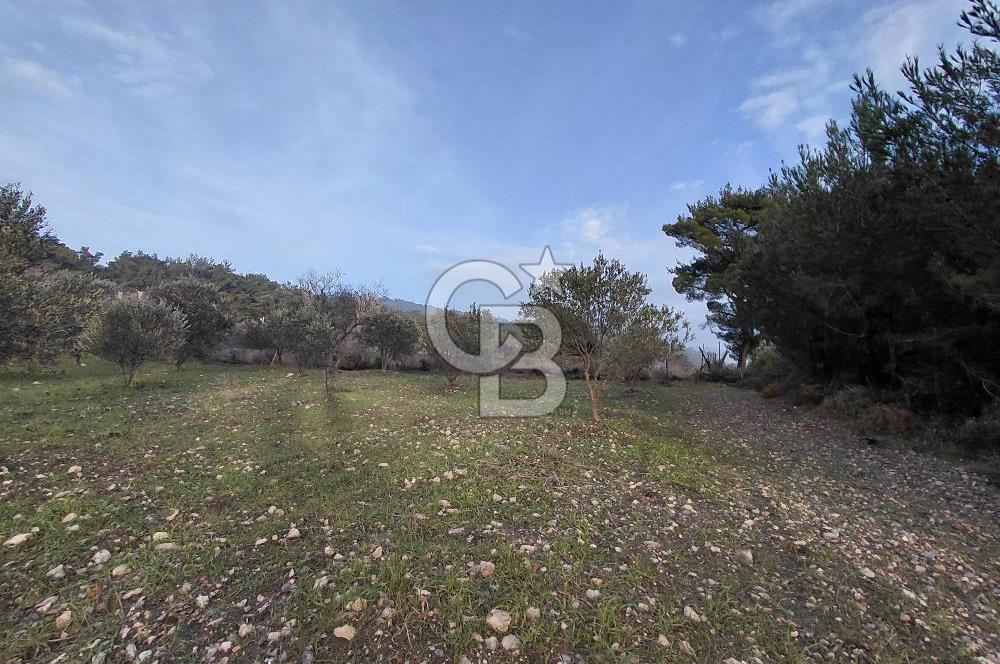 Yakaköy’de Yolu Olan, Toplu Ulaşıma Yakın, Orman Manzaralı Arazi