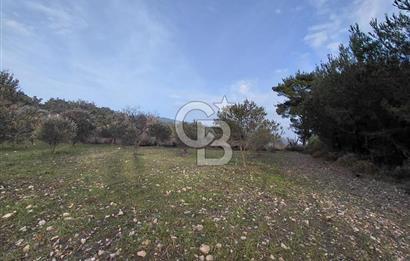 Yakaköy’de Yolu Olan, Toplu Ulaşıma Yakın, Orman Manzaralı Arazi