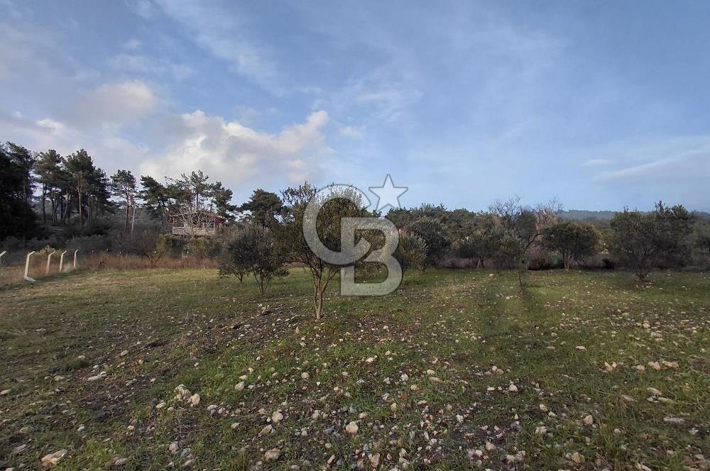 Yakaköy’de Yolu Olan, Toplu Ulaşıma Yakın, Orman Manzaralı Arazi