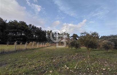 Yakaköy’de Yolu Olan, Toplu Ulaşıma Yakın, Orman Manzaralı Arazi