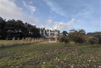 Yakaköy’de Yolu Olan, Toplu Ulaşıma Yakın, Orman Manzaralı Arazi - 1 - 331132