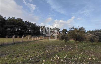 Yakaköy’de Yolu Olan, Toplu Ulaşıma Yakın, Orman Manzaralı Arazi