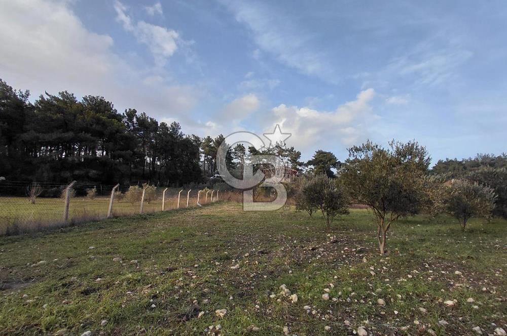 Yakaköy’de Yolu Olan, Toplu Ulaşıma Yakın, Orman Manzaralı Arazi