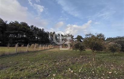 Yakaköy’de Yolu Olan, Toplu Ulaşıma Yakın, Orman Manzaralı Arazi