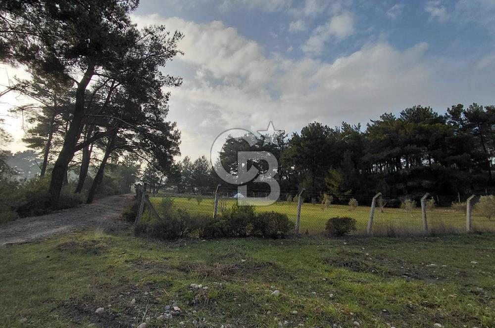 Yakaköy’de Yolu Olan, Toplu Ulaşıma Yakın, Orman Manzaralı Arazi