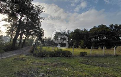 Yakaköy’de Yolu Olan, Toplu Ulaşıma Yakın, Orman Manzaralı Arazi