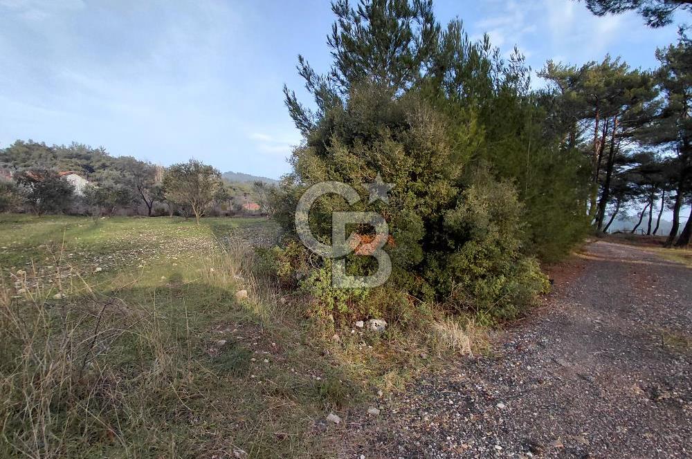 Yakaköy’de Yolu Olan, Toplu Ulaşıma Yakın, Orman Manzaralı Arazi