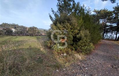 Yakaköy’de Yolu Olan, Toplu Ulaşıma Yakın, Orman Manzaralı Arazi