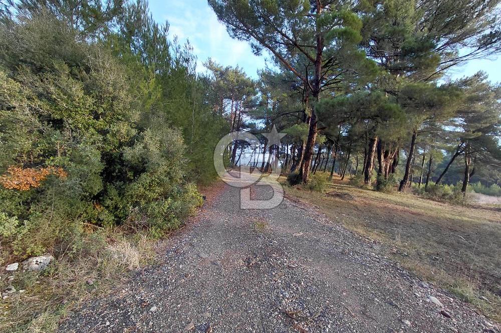 Yakaköy’de Yolu Olan, Toplu Ulaşıma Yakın, Orman Manzaralı Arazi