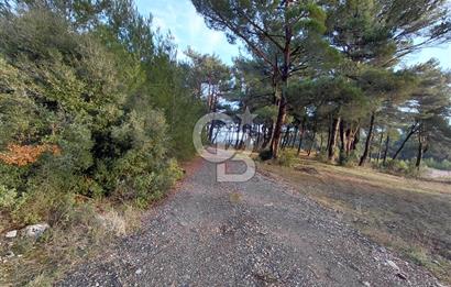 Yakaköy’de Yolu Olan, Toplu Ulaşıma Yakın, Orman Manzaralı Arazi