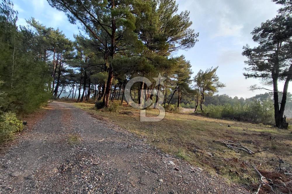 Yakaköy’de Yolu Olan, Toplu Ulaşıma Yakın, Orman Manzaralı Arazi