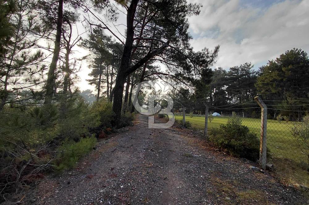 Yakaköy’de Yolu Olan, Toplu Ulaşıma Yakın, Orman Manzaralı Arazi