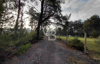 Yakaköy’de Yolu Olan, Toplu Ulaşıma Yakın, Orman Manzaralı Arazi