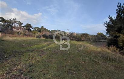 Yakaköy’de Yolu Olan, Toplu Ulaşıma Yakın, Orman Manzaralı Arazi