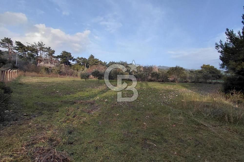 Yakaköy’de Yolu Olan, Toplu Ulaşıma Yakın, Orman Manzaralı Arazi