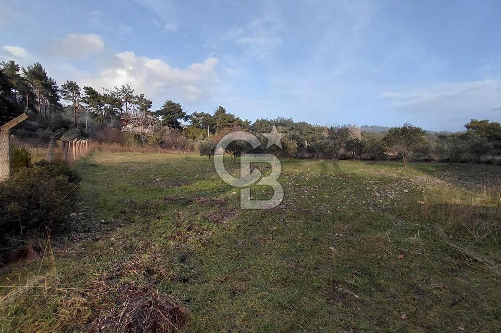 Yakaköy’de Yolu Olan, Toplu Ulaşıma Yakın, Orman Manzaralı Arazi