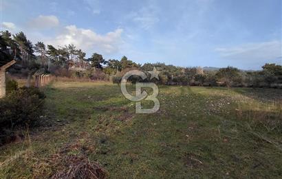 Yakaköy’de Yolu Olan, Toplu Ulaşıma Yakın, Orman Manzaralı Arazi