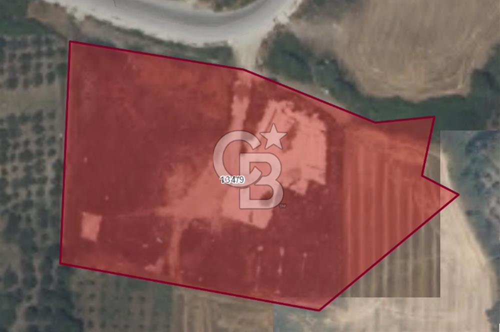 Manisa Organize Sanayi Bölgesi Emlakdere Sınırında Satılık Tarla