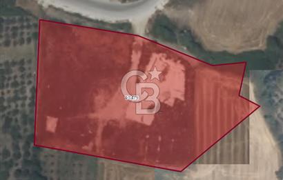 Manisa Organize Sanayi Bölgesi Emlakdere Sınırında Satılık Tarla